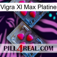 Vigra Xl Max Platinum 14